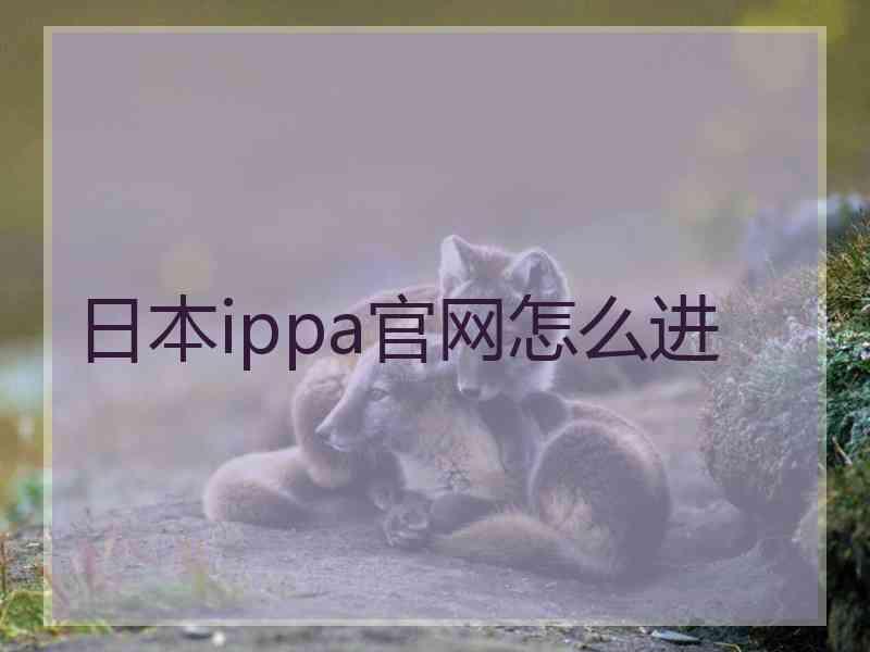 日本ippa官网怎么进