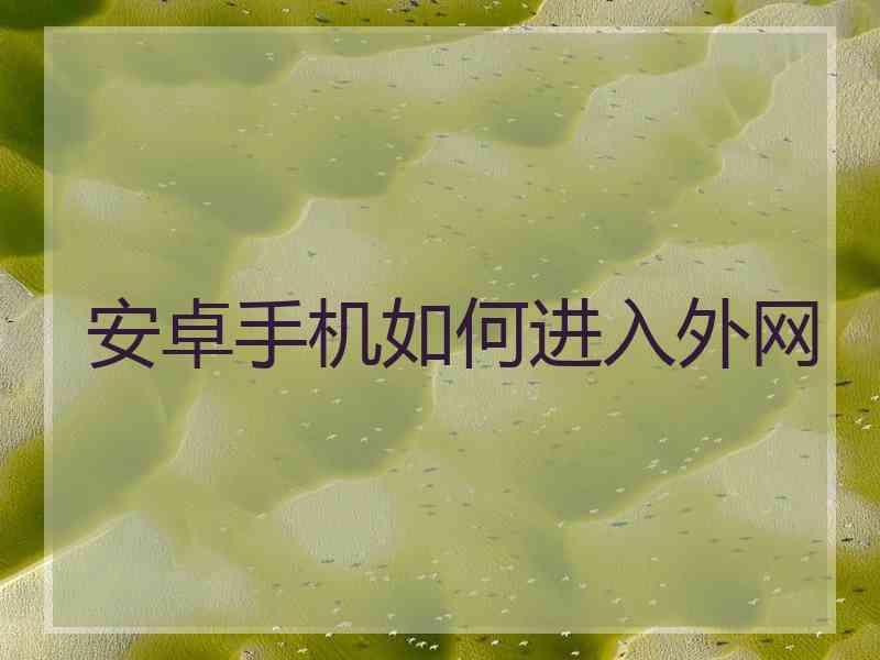 安卓手机如何进入外网