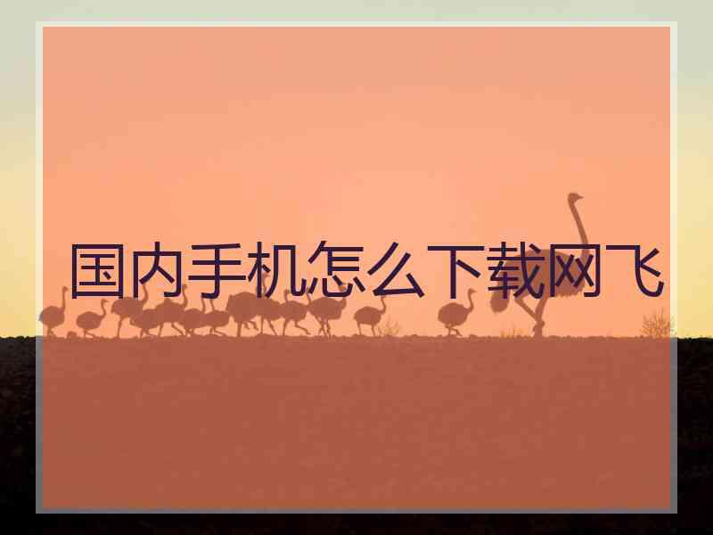 国内手机怎么下载网飞