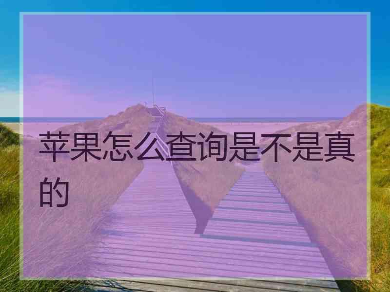 苹果怎么查询是不是真的