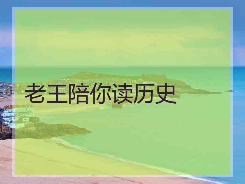 老王陪你读历史