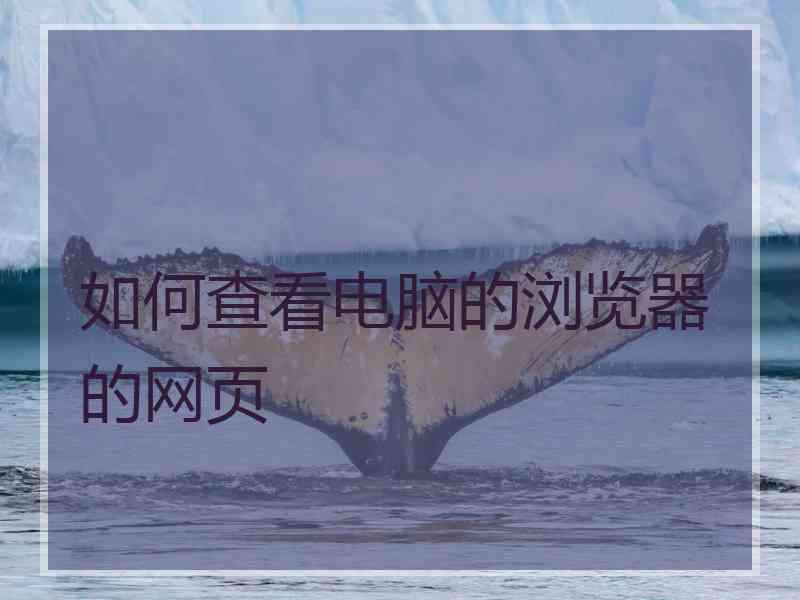 如何查看电脑的浏览器的网页