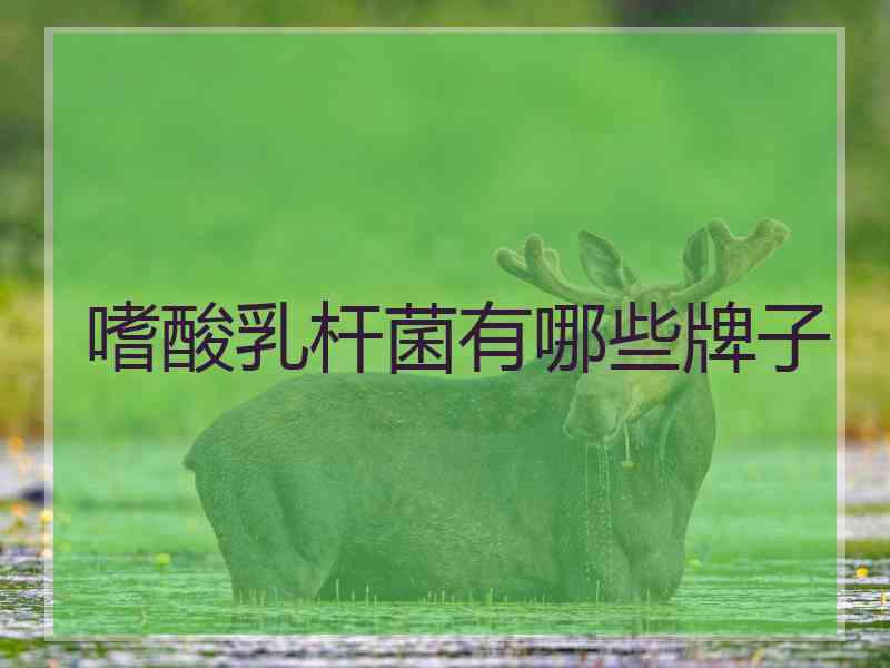 嗜酸乳杆菌有哪些牌子