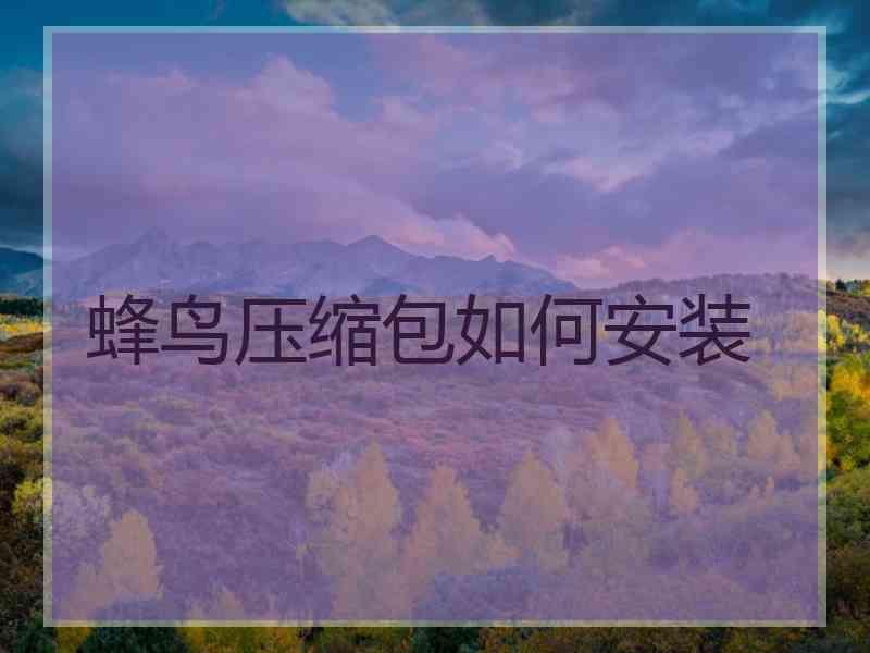 蜂鸟压缩包如何安装