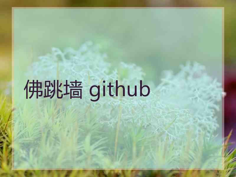 佛跳墙 github