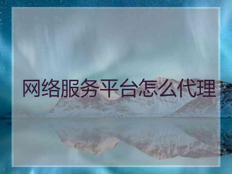 网络服务平台怎么代理