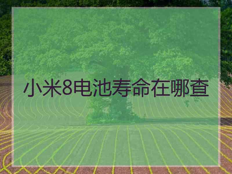 小米8电池寿命在哪查