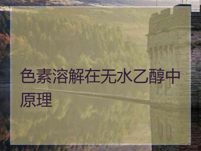 色素溶解在无水乙醇中原理