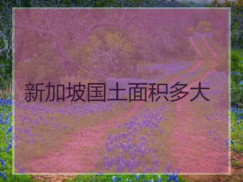 新加坡国土面积多大