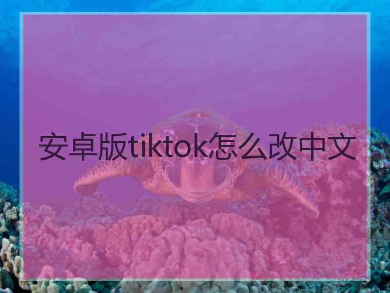 安卓版tiktok怎么改中文