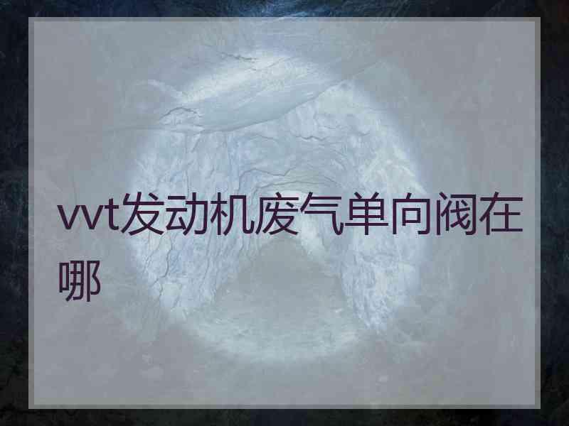 vvt发动机废气单向阀在哪