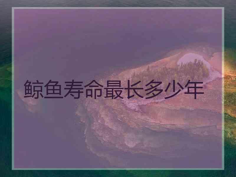 鲸鱼寿命最长多少年