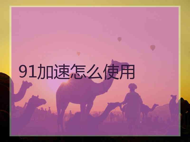 91加速怎么使用