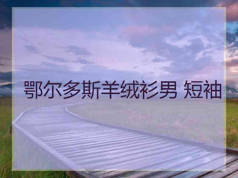 鄂尔多斯羊绒衫男 短袖