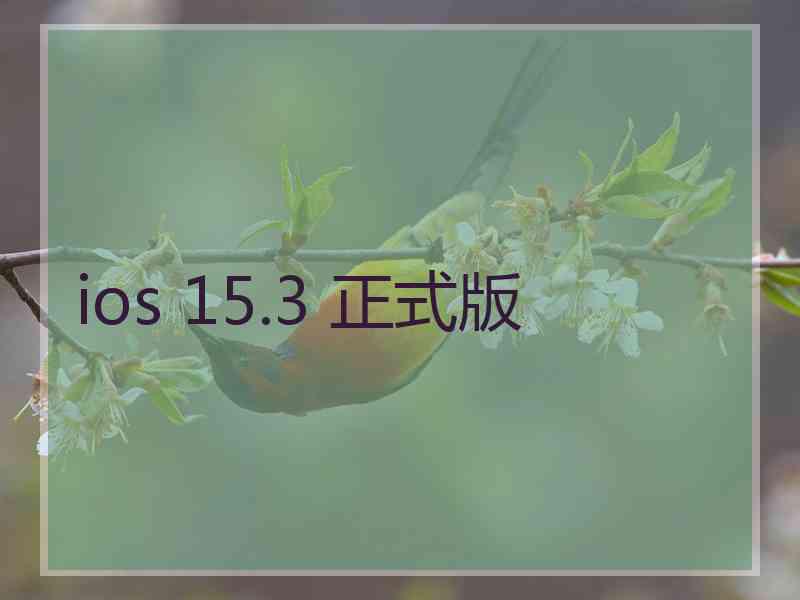 ios 15.3 正式版