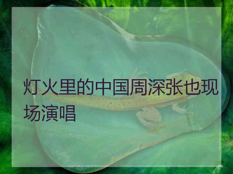 灯火里的中国周深张也现场演唱