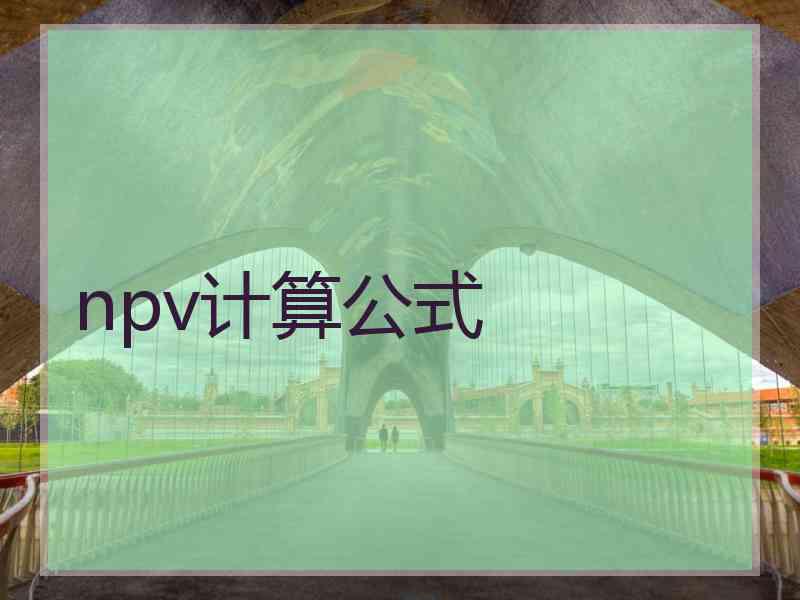 npv计算公式