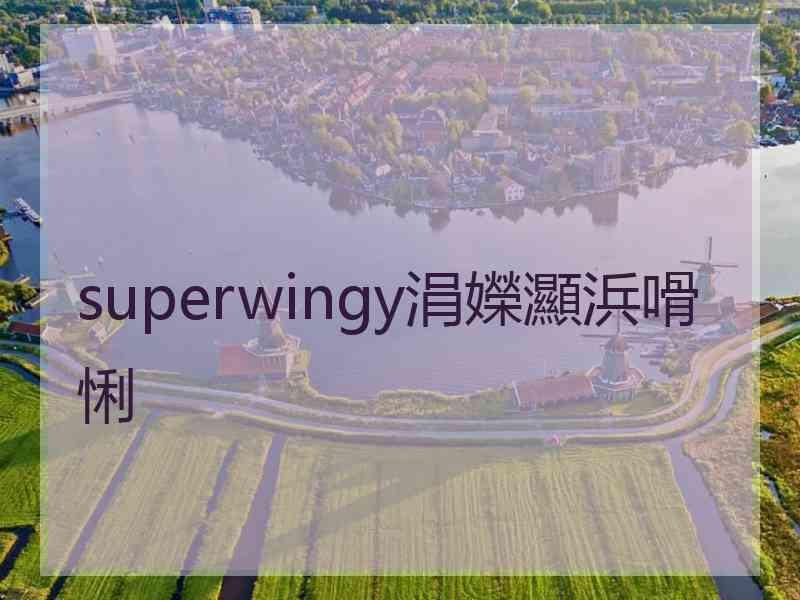 superwingy涓嬫灦浜嗗悧