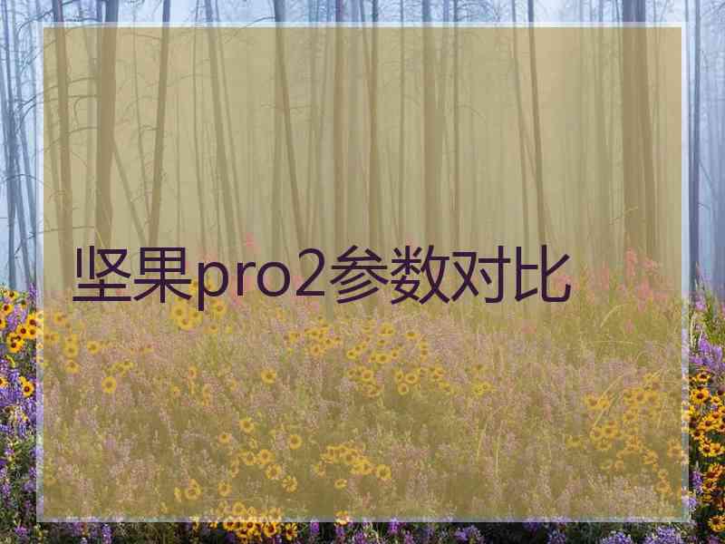坚果pro2参数对比