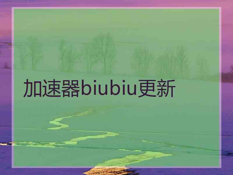 加速器biubiu更新