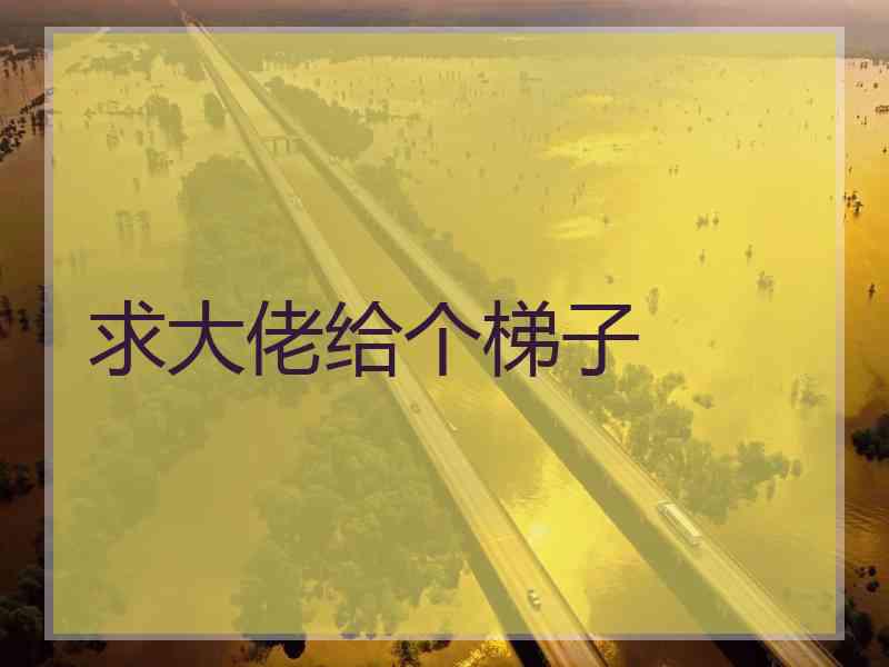 求大佬给个梯子