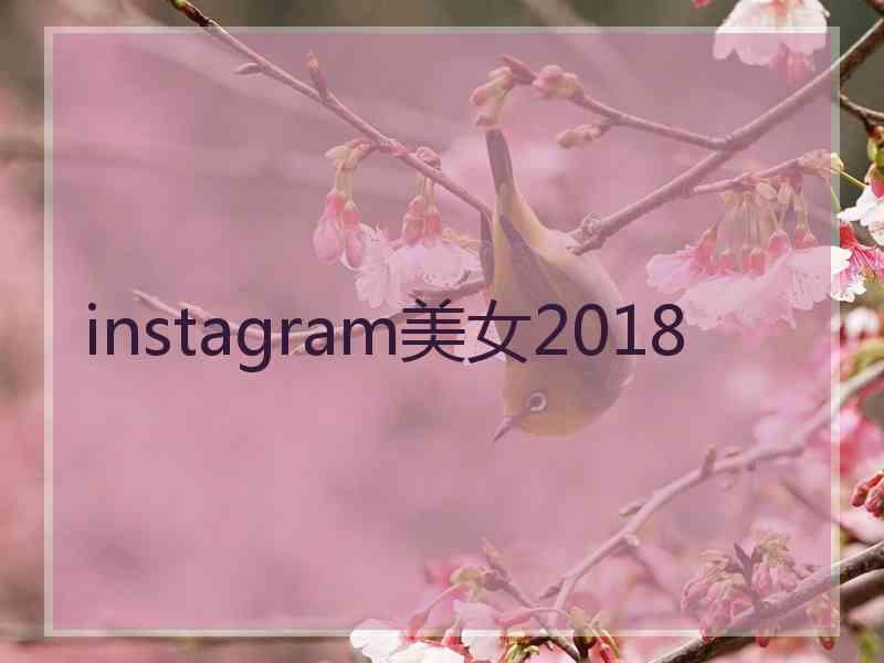 instagram美女2018