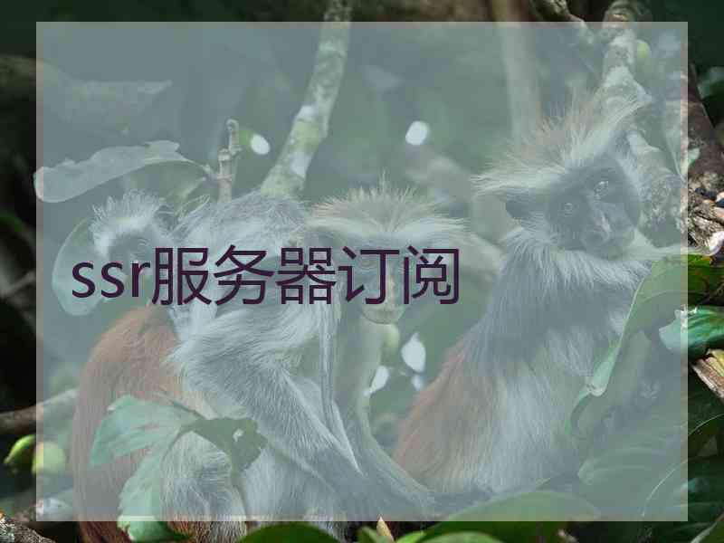 ssr服务器订阅