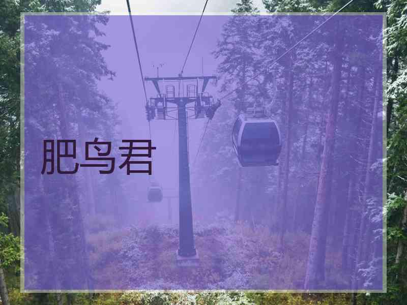 肥鸟君