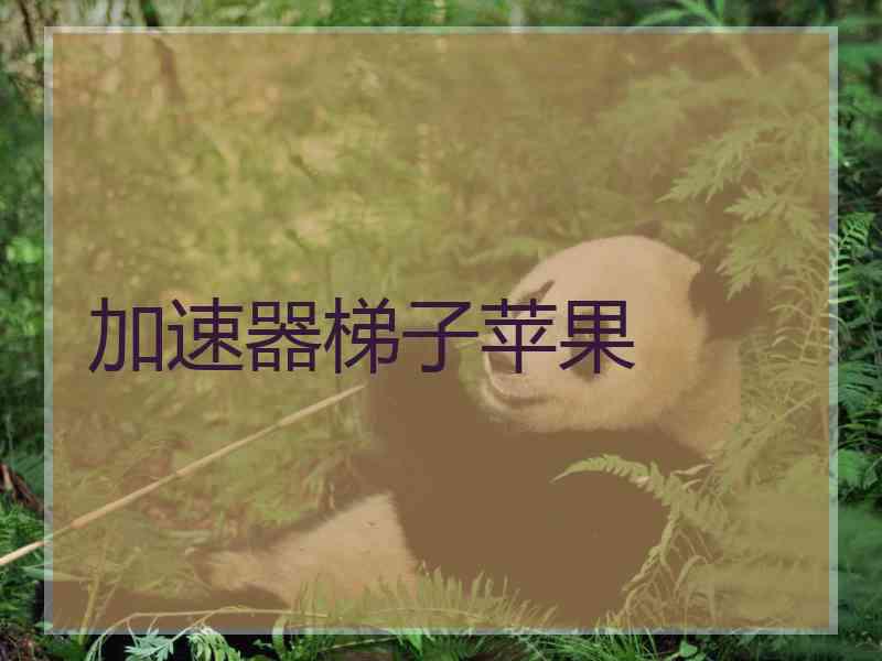 加速器梯子苹果