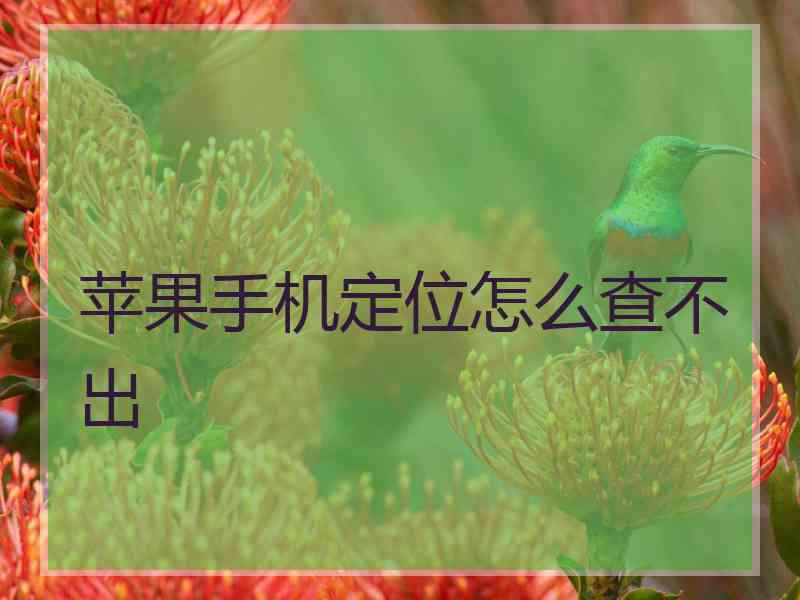 苹果手机定位怎么查不出