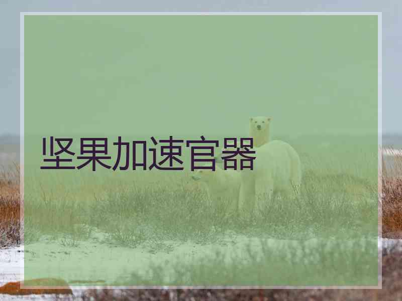 坚果加速官器