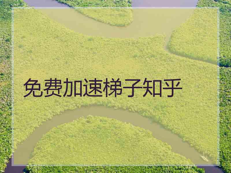 免费加速梯子知乎