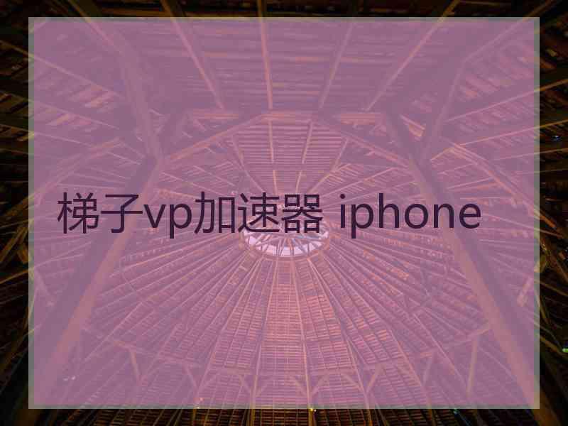 梯子vp加速器 iphone