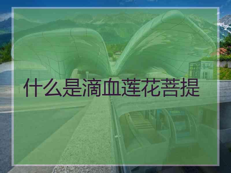 什么是滴血莲花菩提