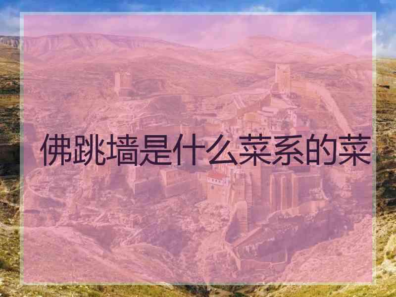 佛跳墙是什么菜系的菜