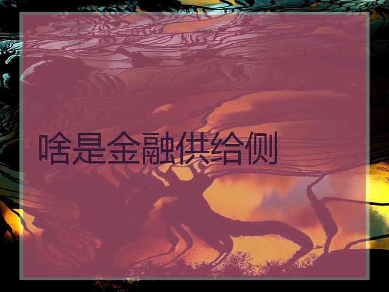 啥是金融供给侧