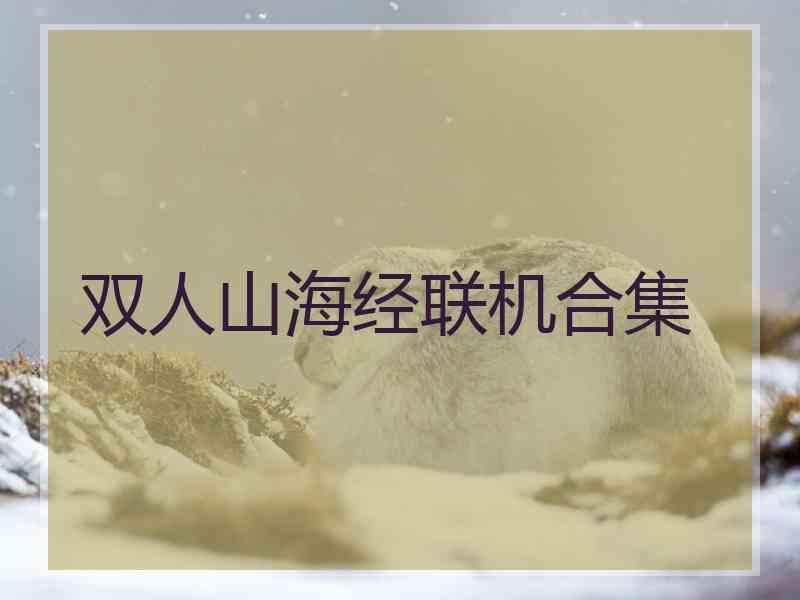 双人山海经联机合集