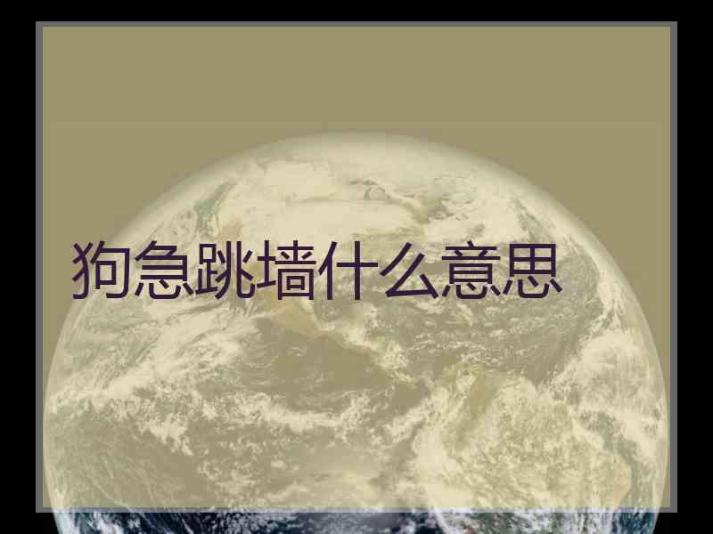 狗急跳墙什么意思