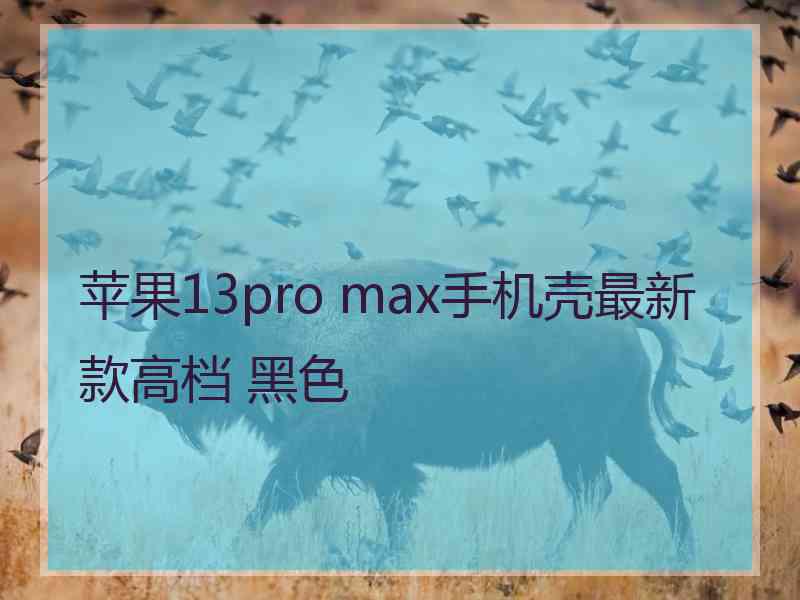苹果13pro max手机壳最新款高档 黑色