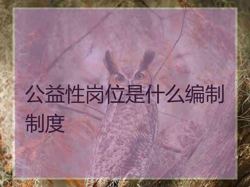 公益性岗位是什么编制制度