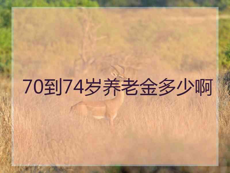 70到74岁养老金多少啊