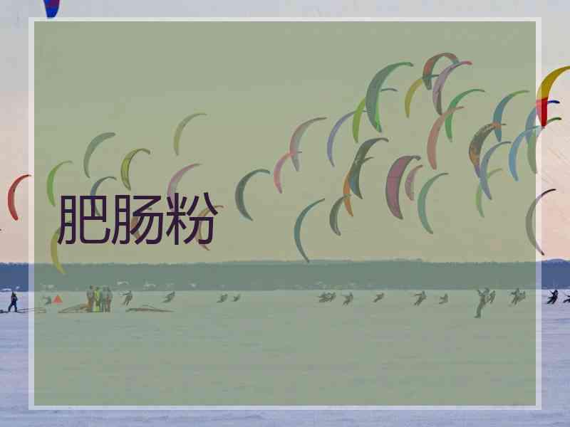 肥肠粉