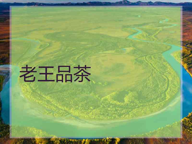 老王品茶