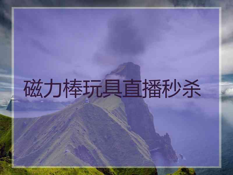 磁力棒玩具直播秒杀