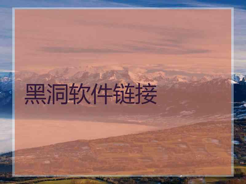 黑洞软件链接