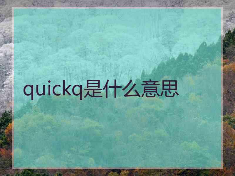 quickq是什么意思