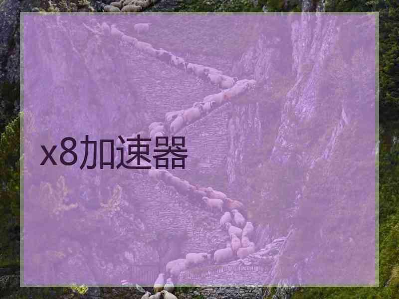 x8加速器