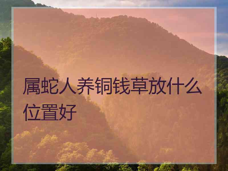属蛇人养铜钱草放什么位置好