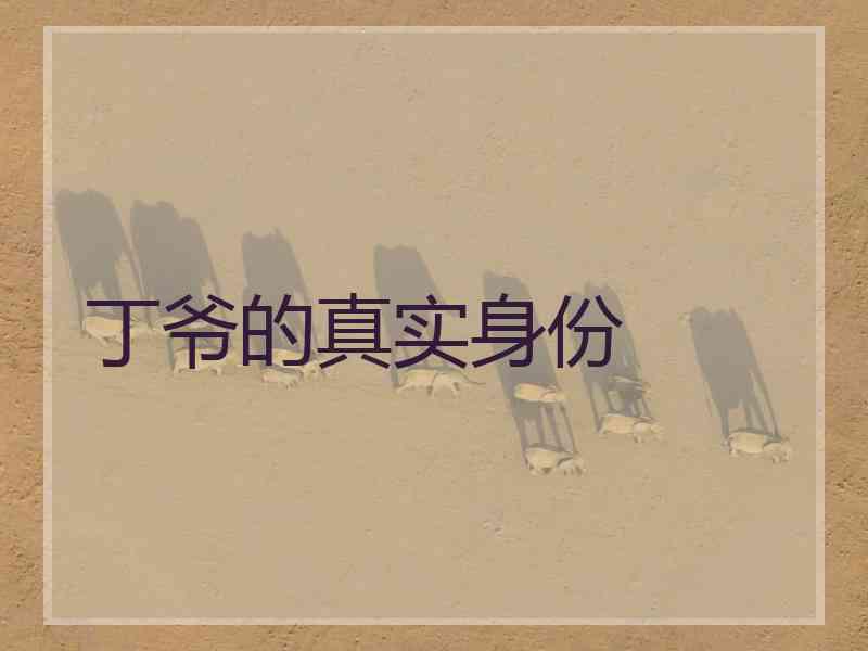 丁爷的真实身份