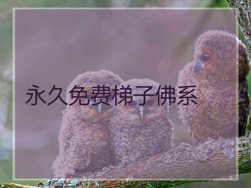永久免费梯子佛系